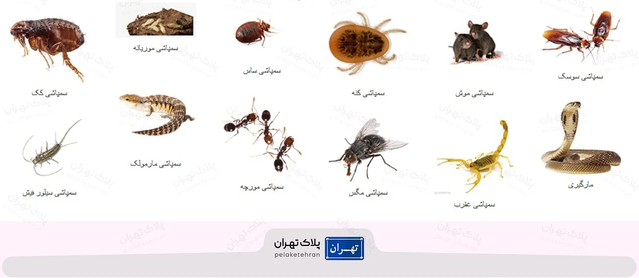 شرکت سمپاشی ارمغان بهداشت محیط