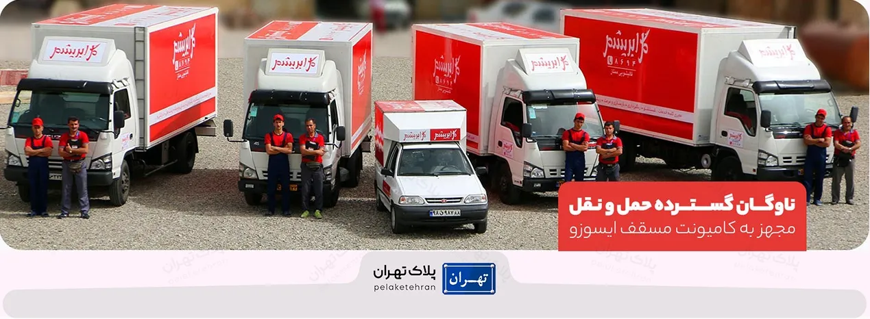 قالیشویی گل ابریشم
